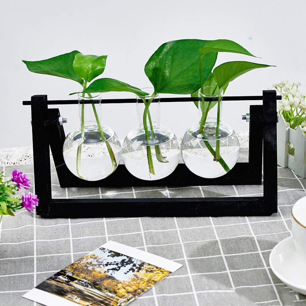 KnikGlass hydroponic vase decoration wood holder with hydroponics glass vase hanging vase flower vase table vase decoration vase for hydroponic plants, home or office decoration