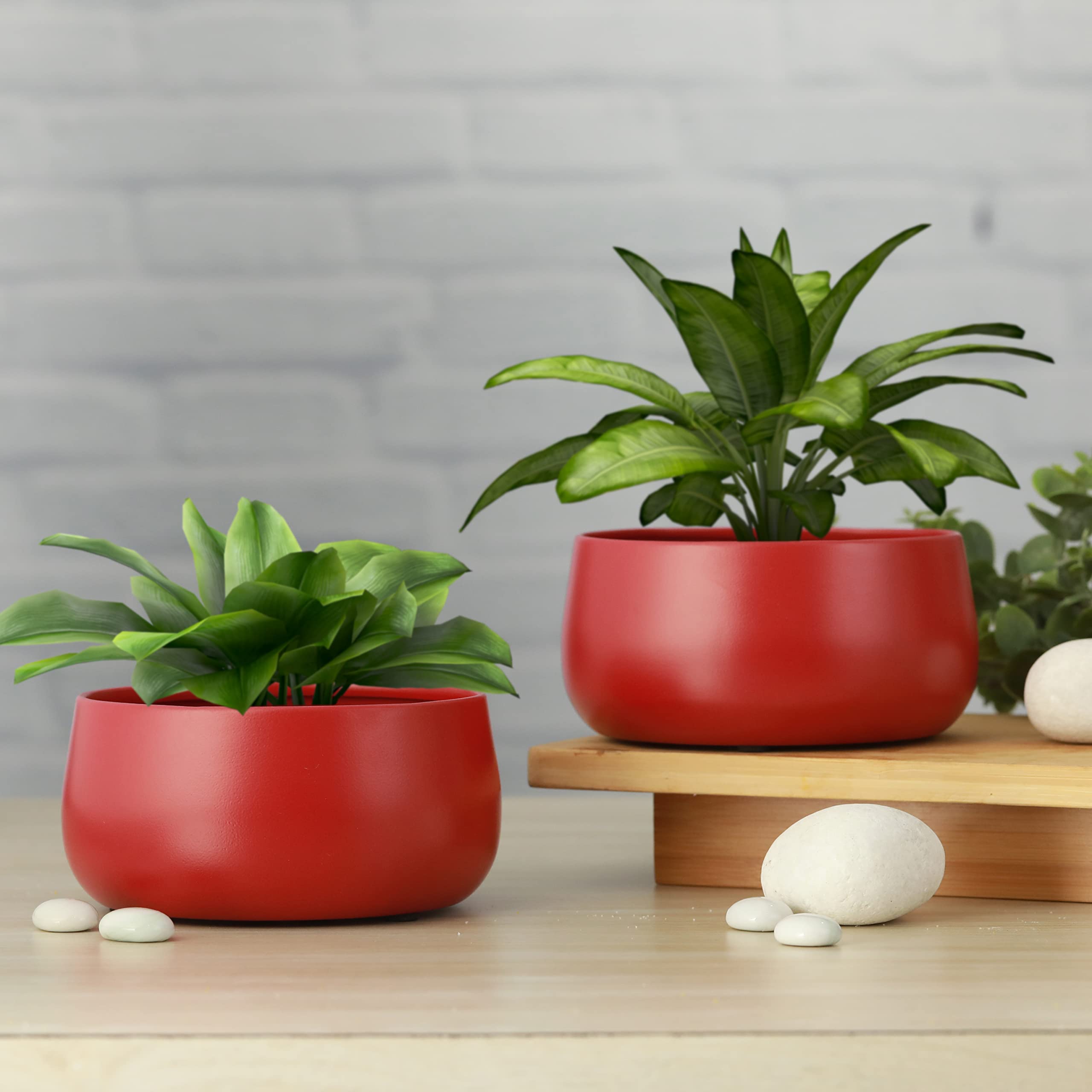 Homspurts Table Top Planter for Living Room, Home Decor, Terrace, Balcony & Home Gardening (Matte Red,D- 5.5 inch H-3 inch, Set of 2) (B09R24PR7H) Amazon Price History, Amazon Price Tracker