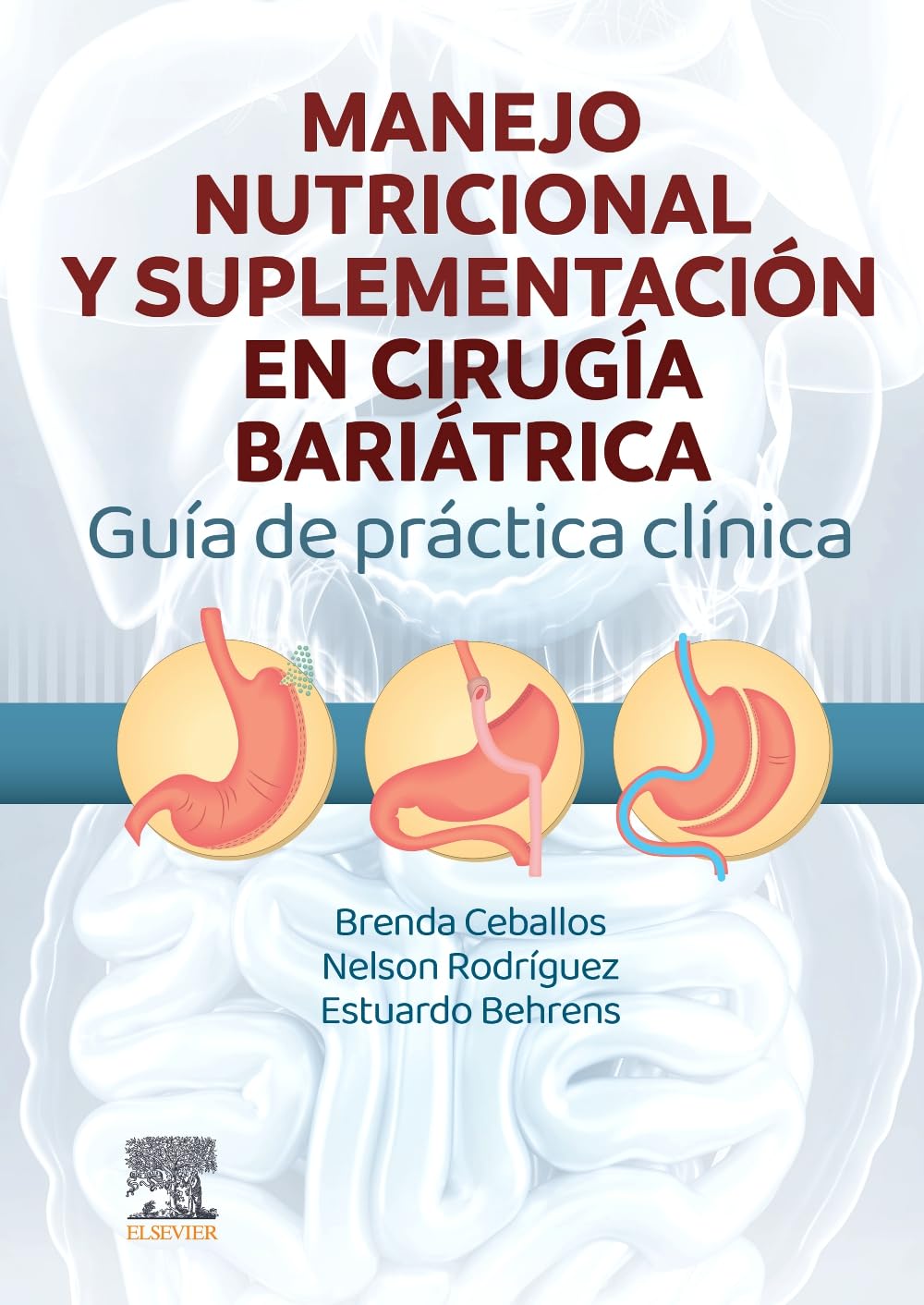 Manejo Nutricional y Suplementación en Cirugía Bariátrica: Guía de Práctica Clínica