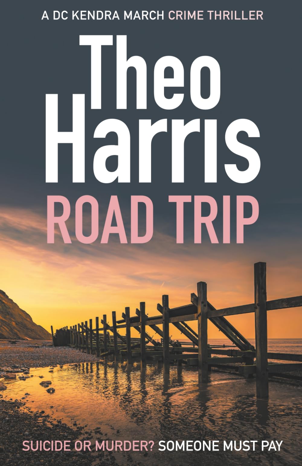 Road Trip (Summary Justice series)
