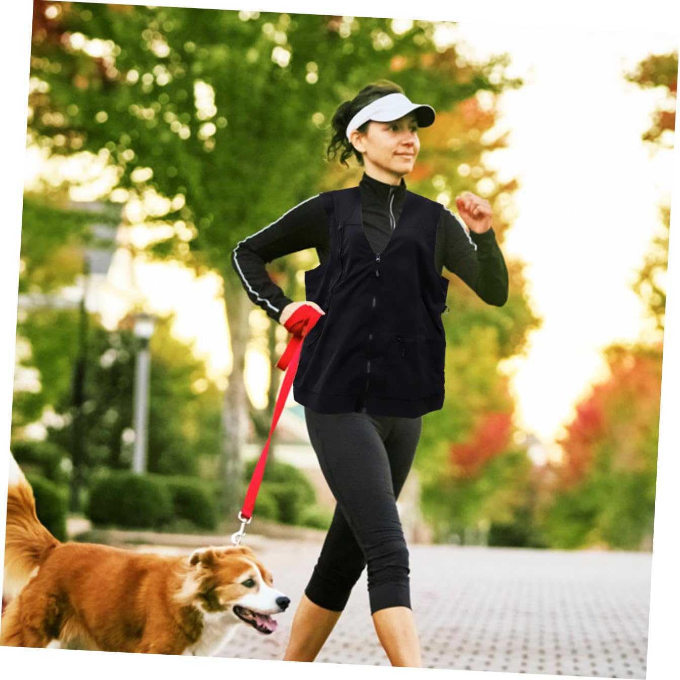 Gilet de Dresseur pour Chien Noir Polyester Mesh, 2 Compartiments Zippés