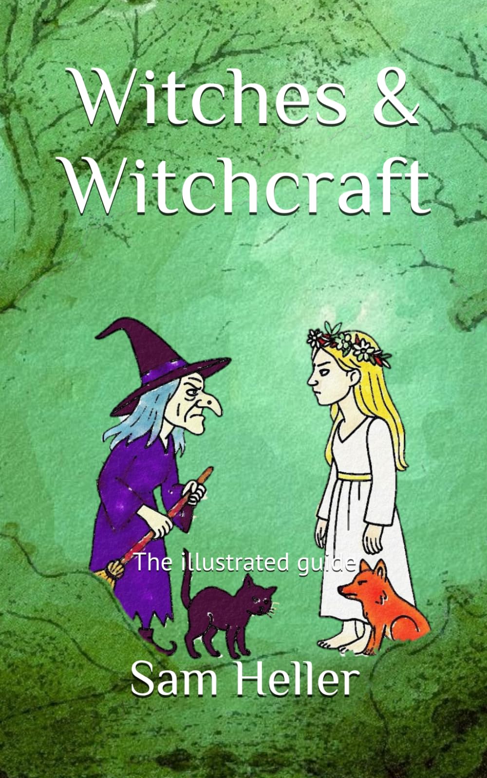 Witches & Witchcraft: The illustrated guide (Mysterious World)