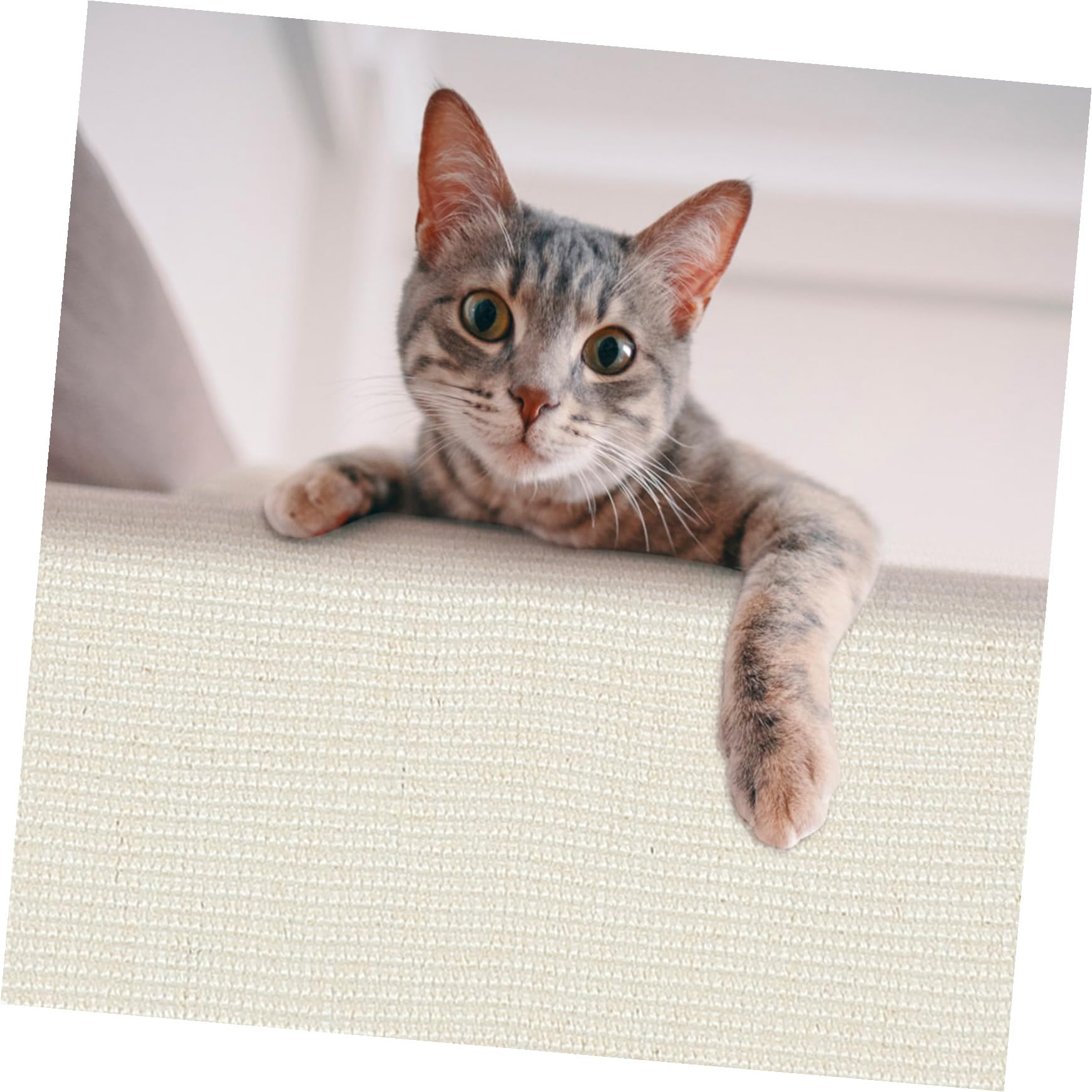 Outanaya Protector para Sofá contra Arañazos Garra de Sisal para Gatos, Alfombra Sensorial Entretenida y Resistente para Sala U Oficina