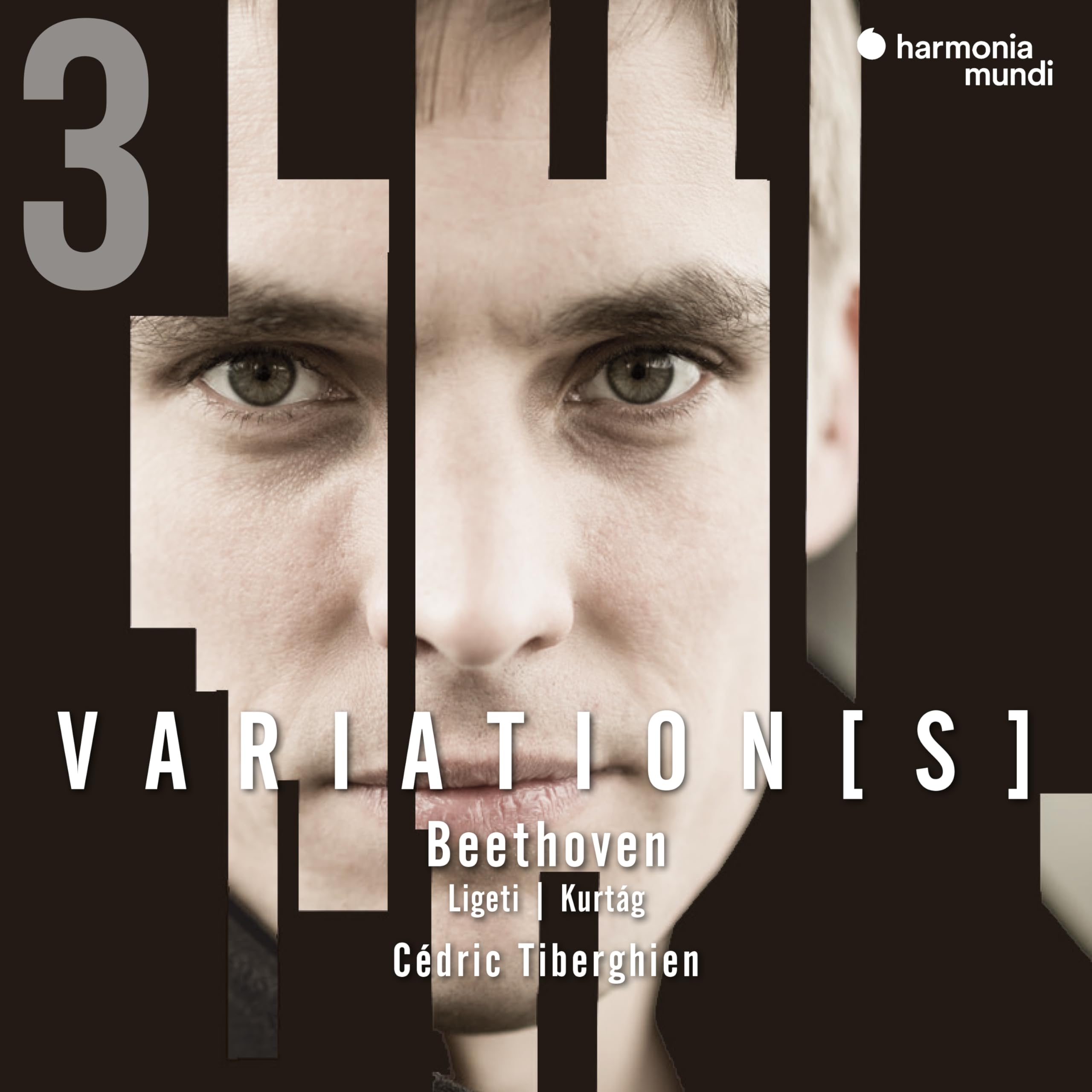 Beethoven: Complete Variations for Piano, Vol. 3