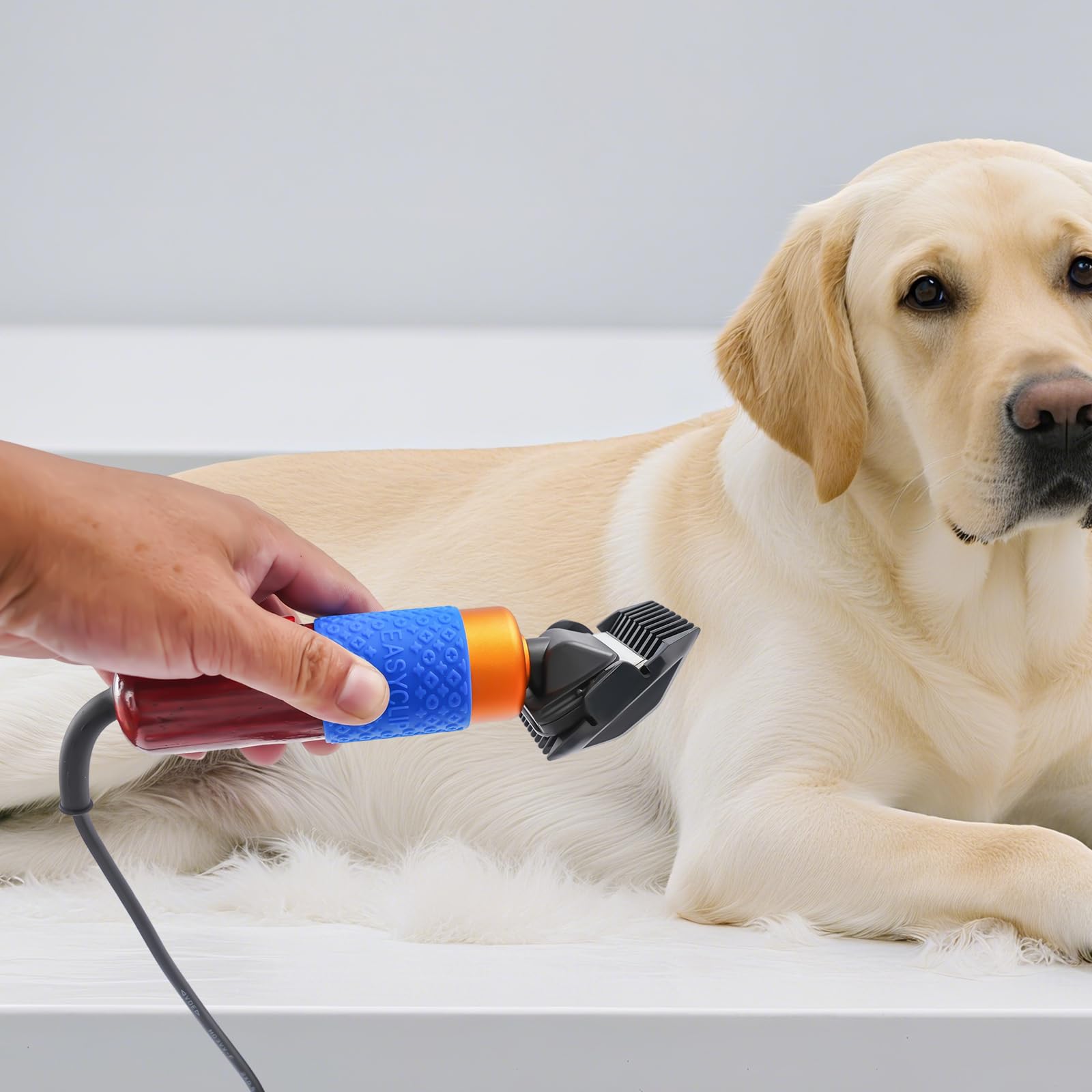 Tosatrice professionale per cani e gatti, tosatrice per animali silenziosa con 4 pettini e cavo da 3 m, lama in ceramica da 6600 RPM per taglio preciso