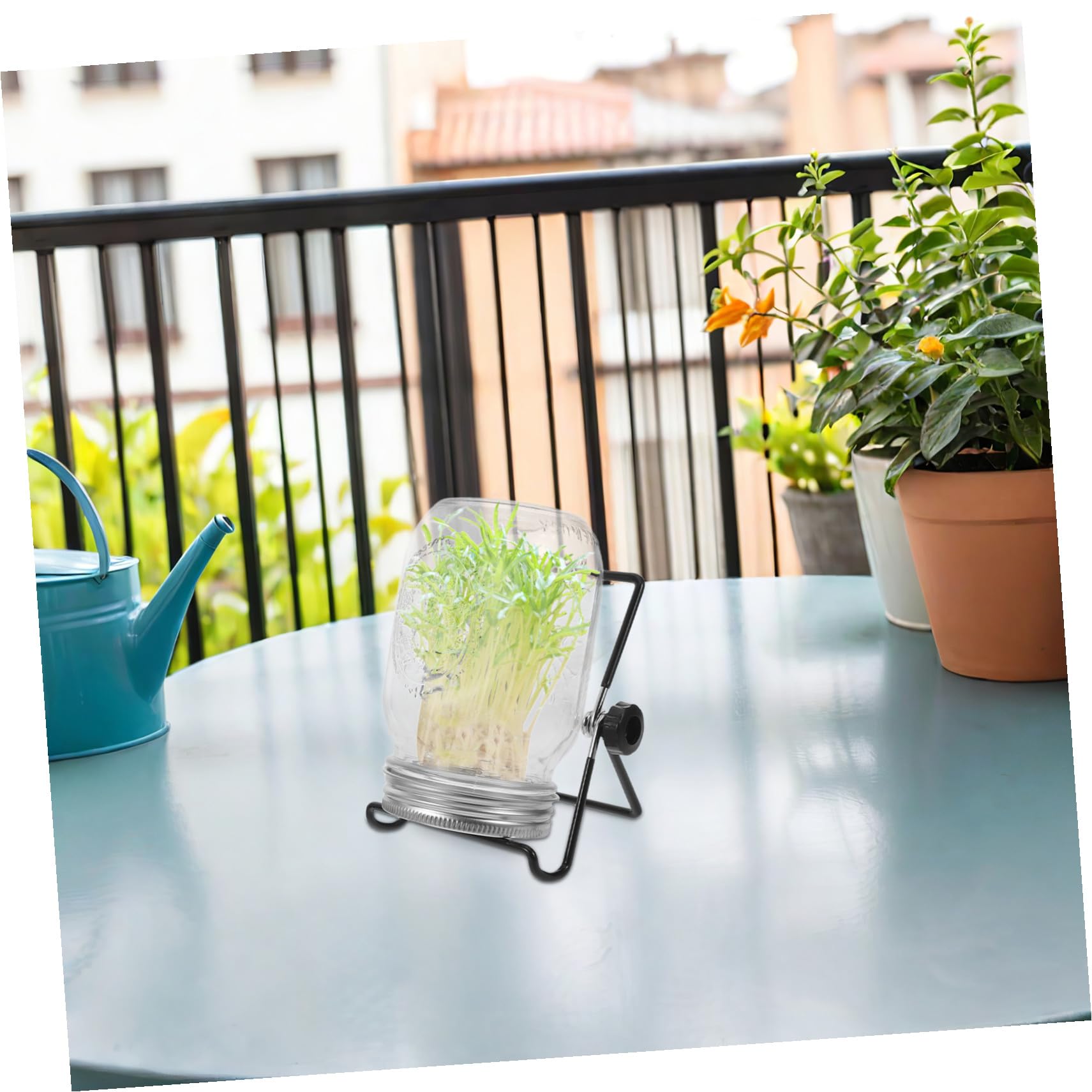 GALPADA 2 Juegos Kit de Tarros Germinadores con Tapas de Malla de Acero Inoxidable Colador y Soporte para Brotes Microvegetales y Almacenamiento para Cultivo Casero y Fiestas