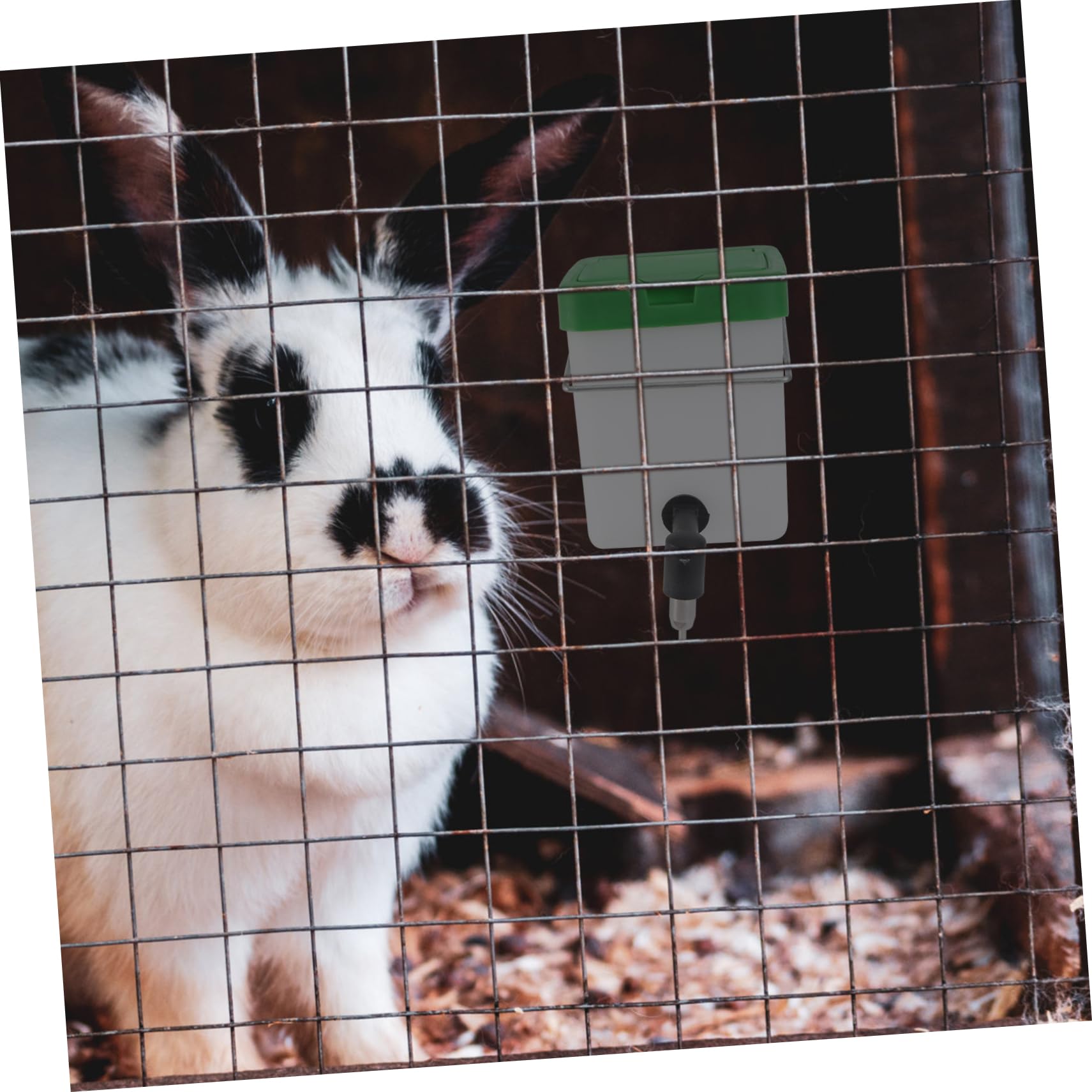 INOOMP 3pezzi Distributore Automatico Per Conigli Bottiglia Per Animali Domestici Facile Da Installare e Pratica Adatta Per Ciotole e Box Per Del Coperchio