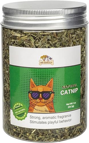 MR-BABULA Premium Catnip hojas de gata natural y fresca seleccionada 2 oz