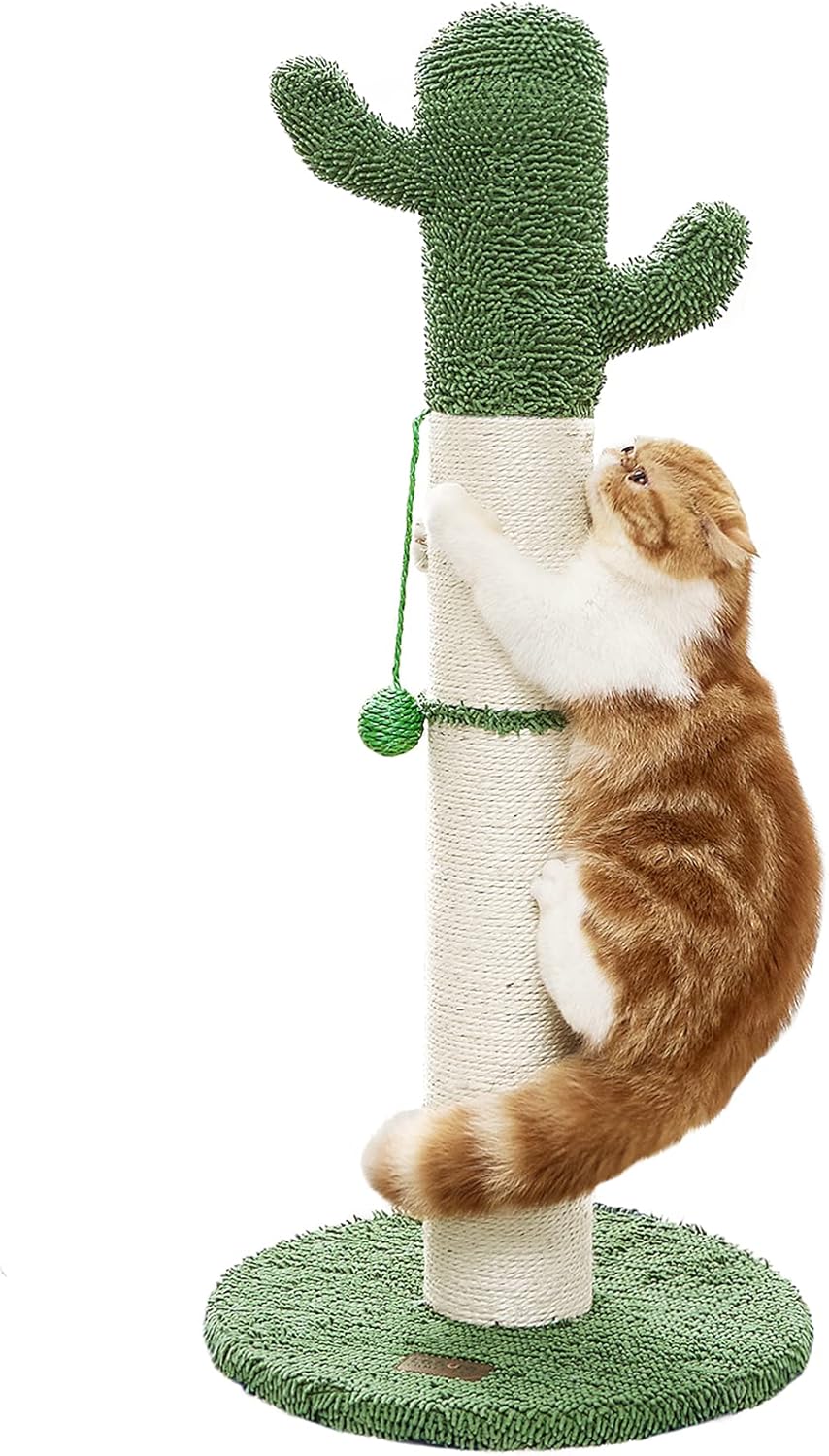 Lesure Tall Cat Scratching Post for Indoor Cats Adults - Cactus Sisal Rope Large Cat Scratcher with Hanging Ball for Cats (34" Tall)