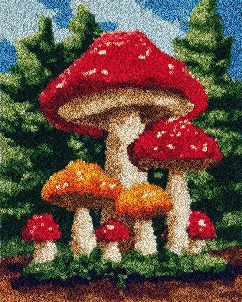 FWRTYCB Latch Hook Kits for Adults -Mushroom DIY Latch Hook Rug Kits, 20X15Inch Crochet Kit for Beginners, Rug Making Kits with Printed Canvas, Gift Packaging