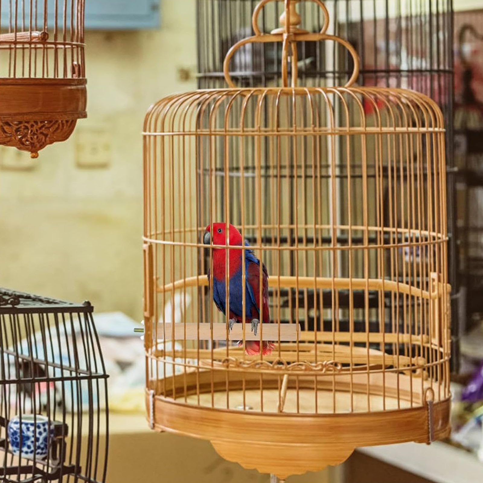 Piattaforma In Legno Per Animali Domestici - Supporti Per Uccelli, Pappagalli, Cincillà