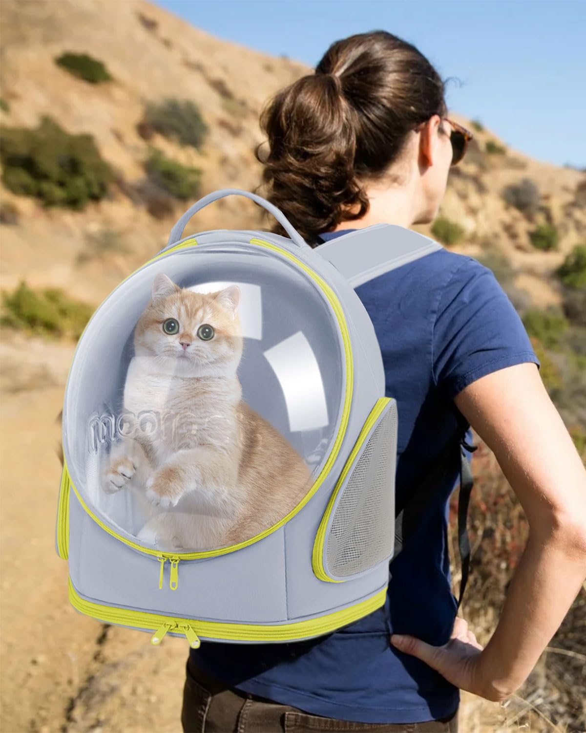 PETCUTE Zaino Trasparente per Animali Domestici con Capsula Spaziale, Pieghevole per Cani e Gatti con Cintura di Sicurezza Integrata - Trasportino per Viaggio e Campeggio