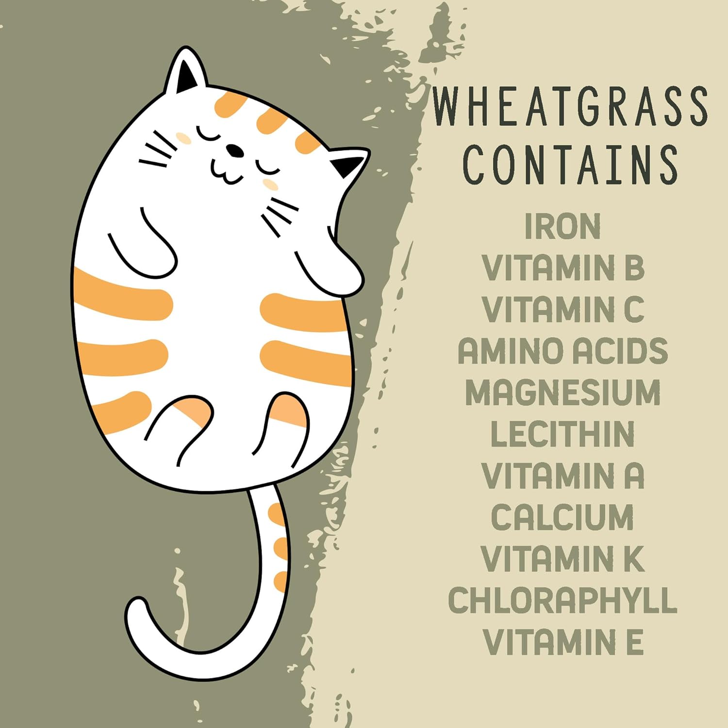 Whetagrass Kits (Wheatgrass Grow Kit - Custom Box)