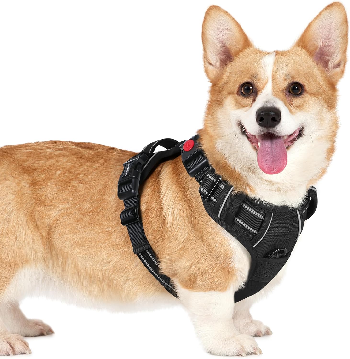 rabbitgoo Dog Harness Small Sized, No Pull Pet Harness with 3 Buckles, Adjustable Soft Padded Vest with Control Handle, Walking Reflective Pet Vest for Small Dogs, Black, S Small Black