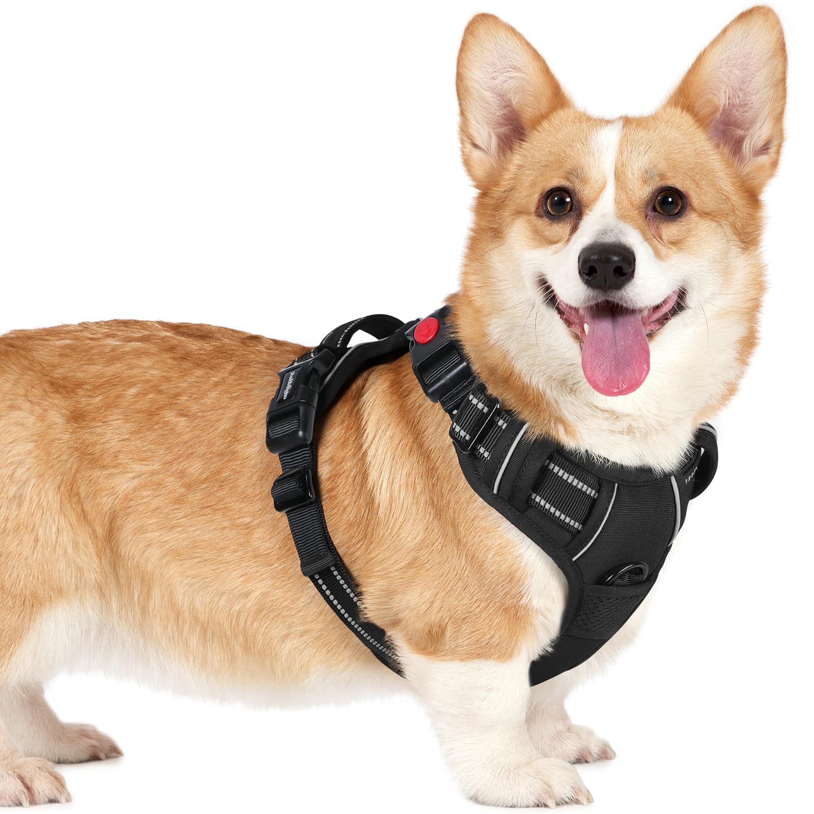 Photo 1 of rabbitgoo Dog Harness Small Sized, No Pull Pet Harness with 3 Buckles, Adjustable Soft Padded Vest with Control Handle, Walking Reflective Pet Vest for Small Dogs, Black, S