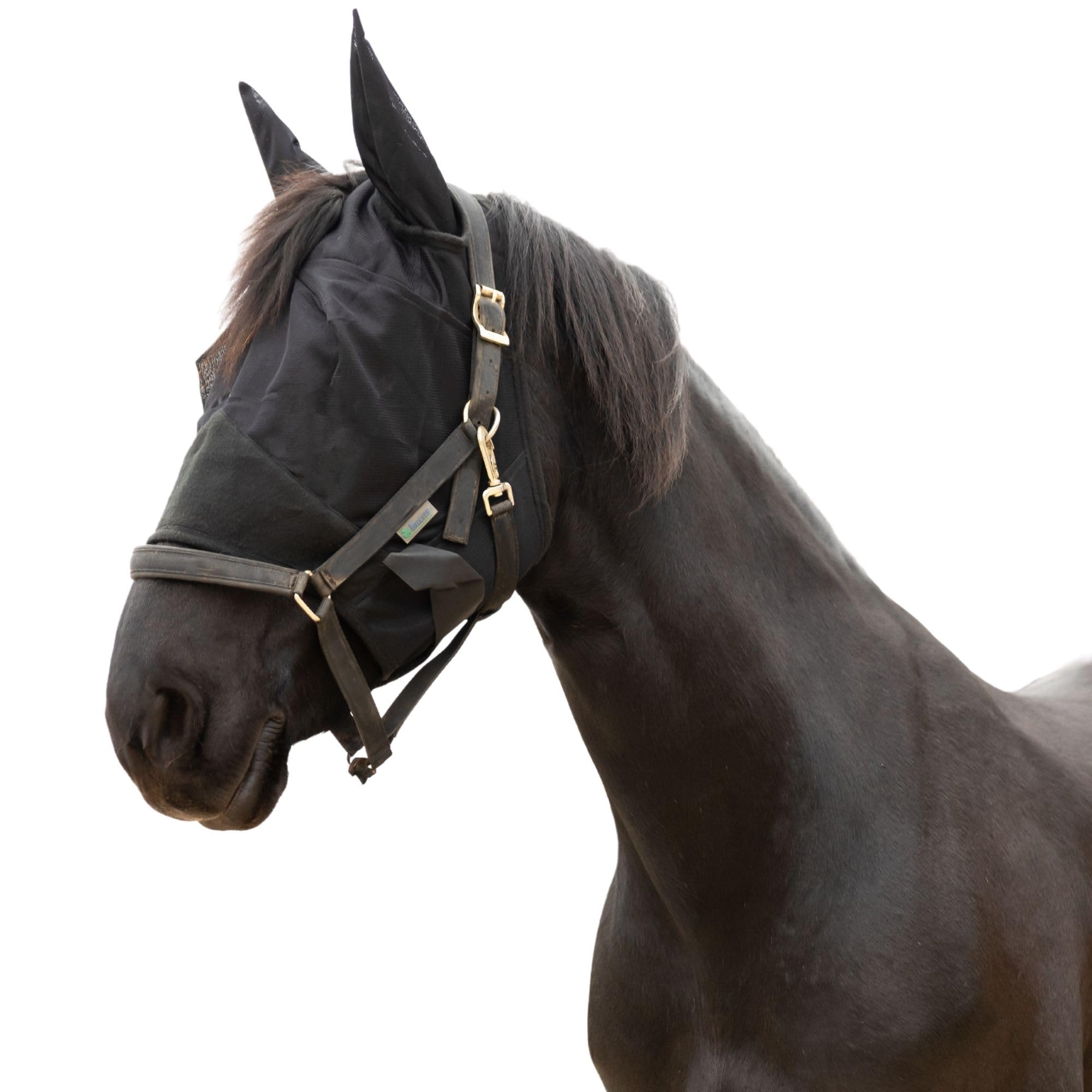 RESISTANCE Premium Horse Fly Mask with Ears - Ultimate Insect Defense