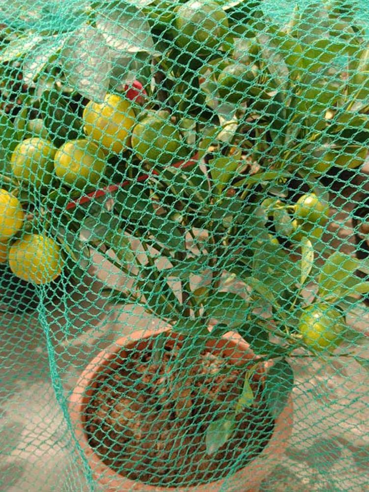Malla AntipáJaros Netting Reutable Garden Net Cercado para árboles frutales Protección de Verduras (Size : 4 x 10m)