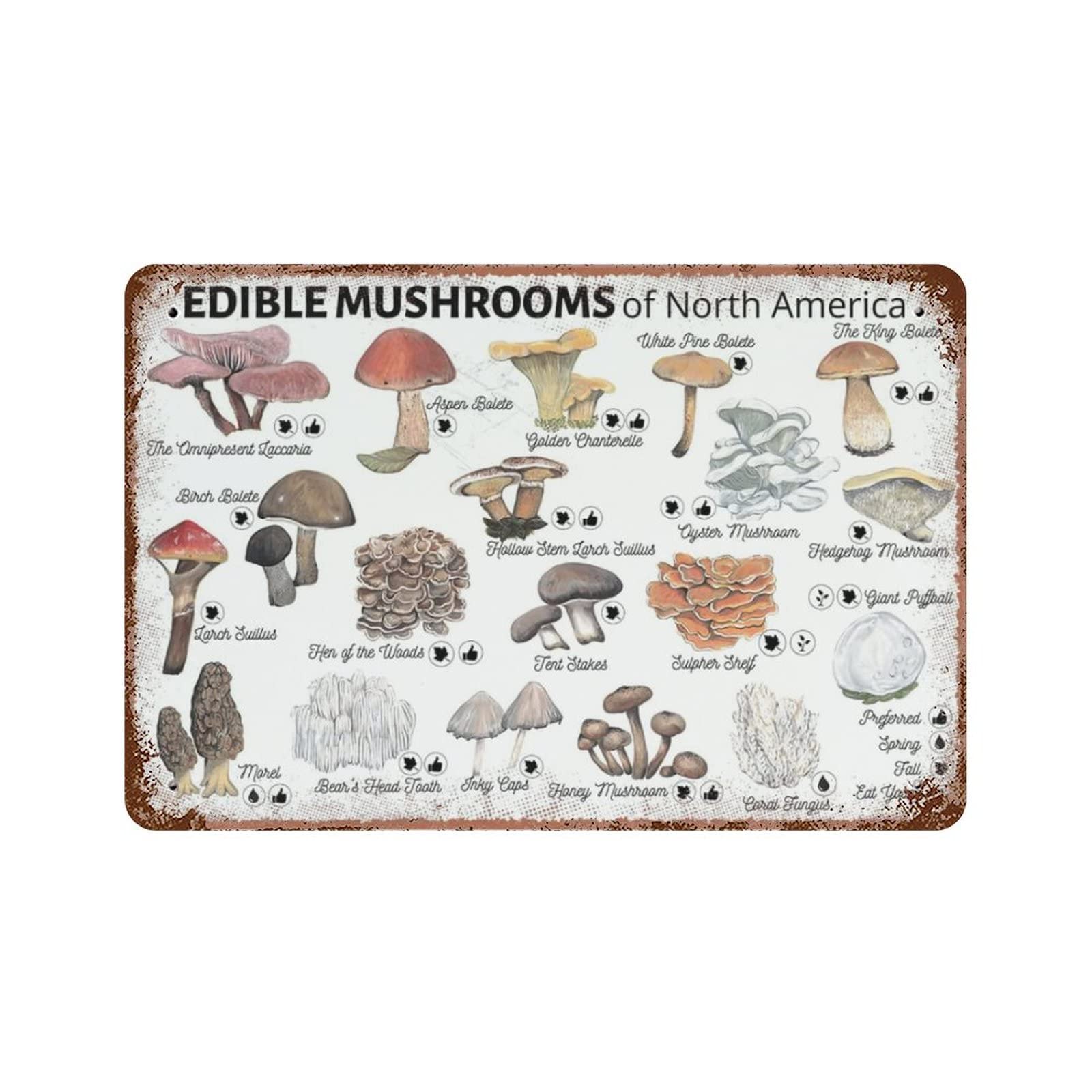 AOOEDM Edible Mushroom Guide Vintage Tin Sign Metal Tin Signs for Man Cave Funny Art Wall Plaque Kitchen Bar Pub Coffee Shop Wall Decor