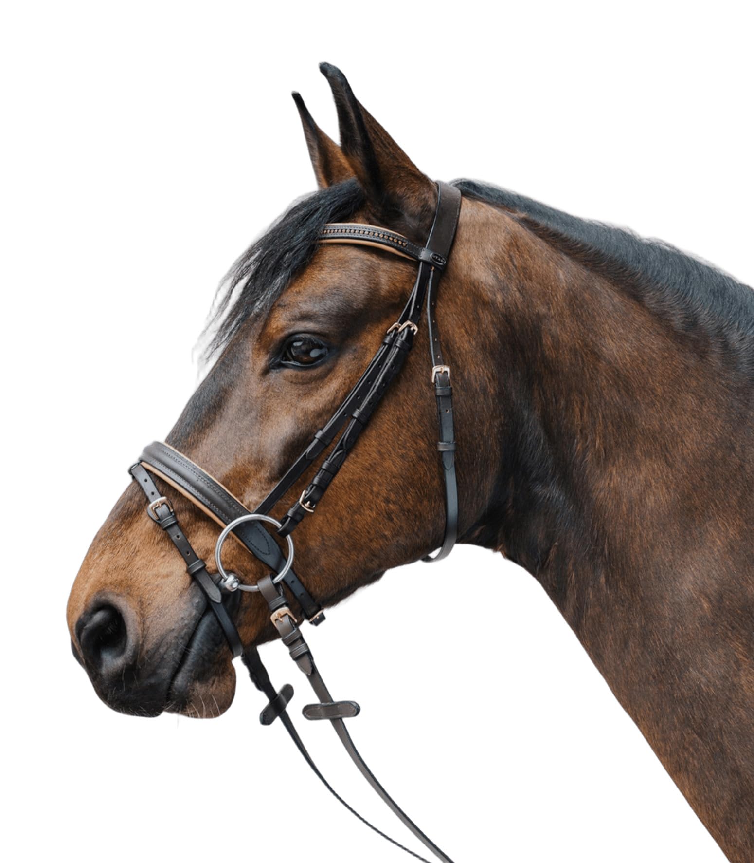 WALDHAUSEN Trensenzaum Diamond, MSH, braun