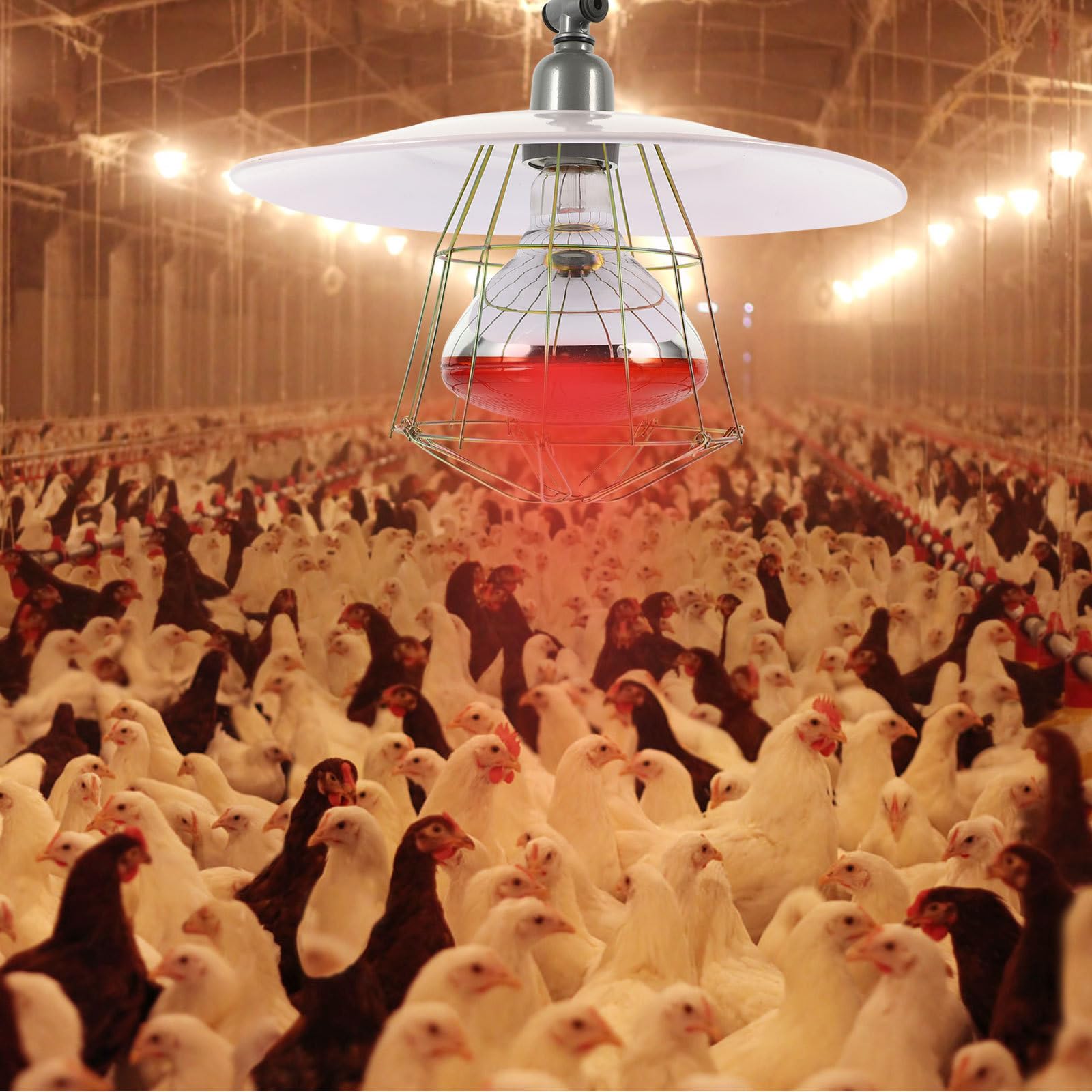 UKCOCO Metall Heizlampe Zubehör für Kleine Schweinekäfige und Haustierboxen Weiß Hitzebeständig und Einfach zu Bedienen für Reptilienbedarf und Tierwärme Zufällige Farbe