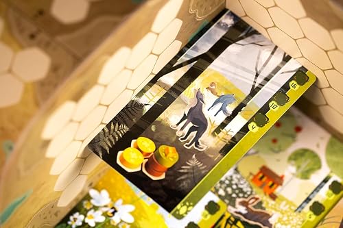 Libellud - Asmodee - Harmonies - Board Games - Family and Friends Games - Creation of Landscapes and Habitats for Animals - Strategy and Creativity - For Ages 10 and Above - French Version - 3
