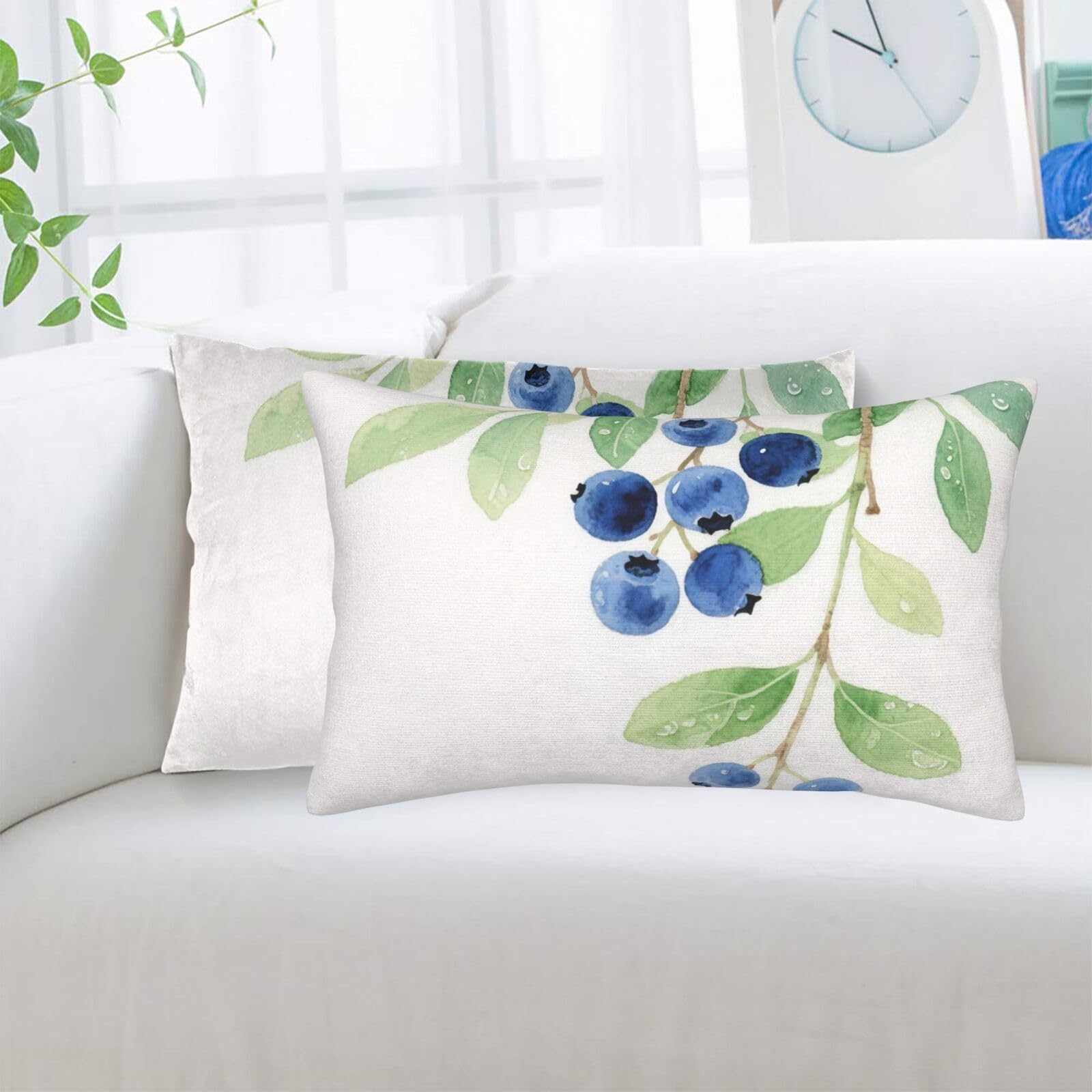 2 Pack Standard Pillowcases Sets, Ultra Soft Comfort Microfiber Plush Pillow Cases Fruits Blueberry Decorative Throw Pillow Cover with Hidden Zipper for Bedroom, Sofa, Couch,14"X20"