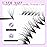 FADLASH Premade Lash Fans D Curl Premade Fans Eyelash Extensions 20D 0.07 Volume Lash Fans Premade Handmade Premade Lash Extensions Fans (20D-07D, Camellia)