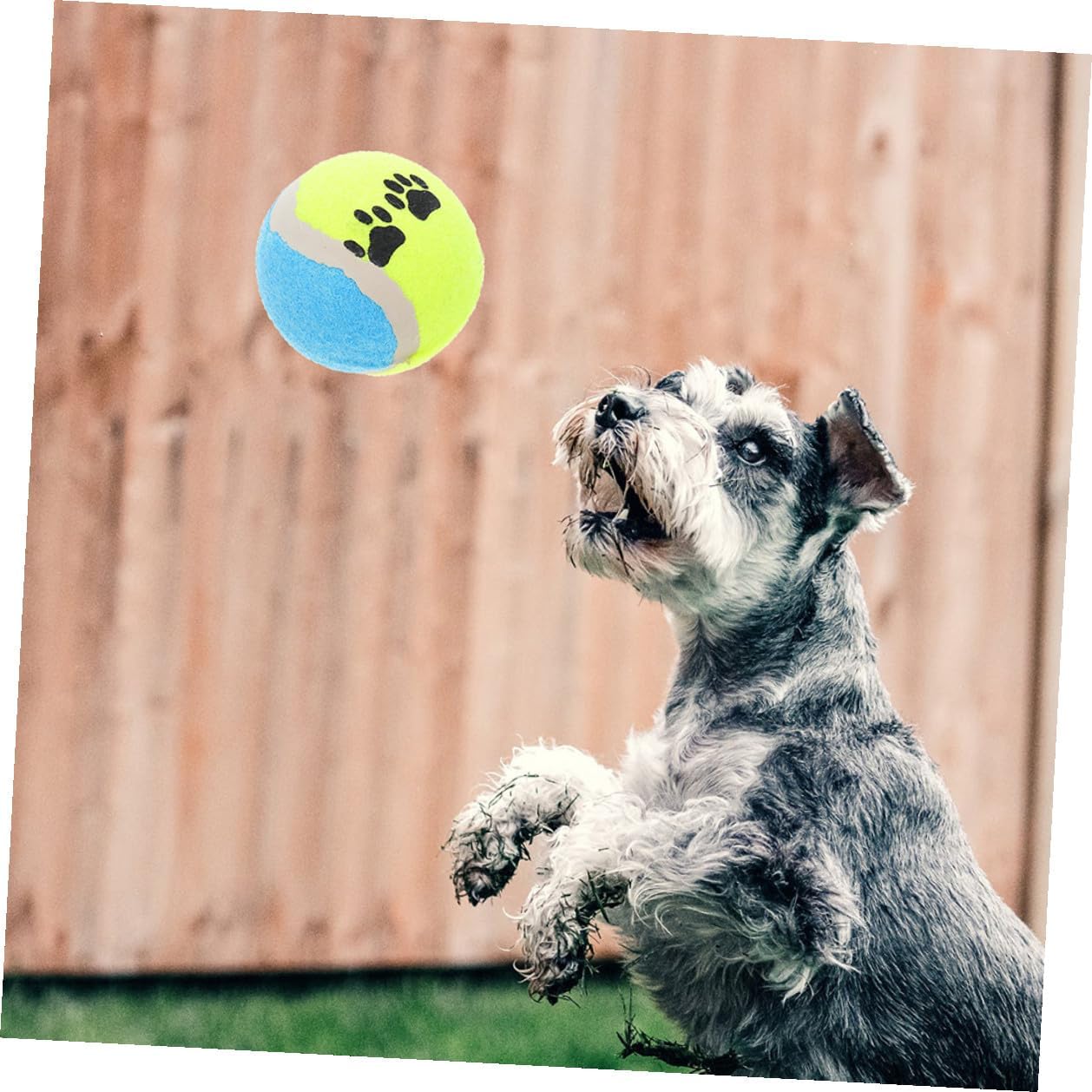 GLEAVI 16pcs Dog Tennis Balls Plush Soft Rubber Balls for Puppies Small 7cm Diameter Fetching Throwing Interactive Training Supplies for Dogs Random Color