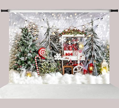 Kate Fondos de fotos para fotografía de Navidad con caramelos calientes de Coco para fotografía y fotografía