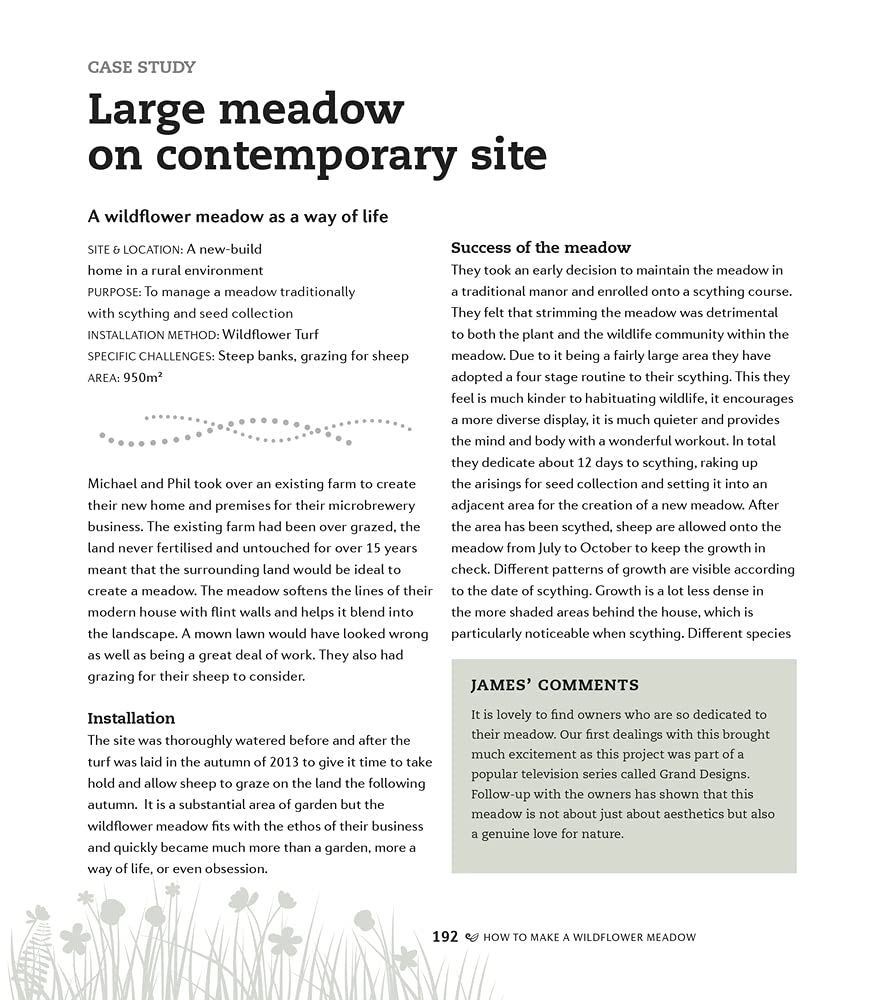 How to make a wildflower meadow: Tried-And-Tested Techniques for New Garden Landscapes