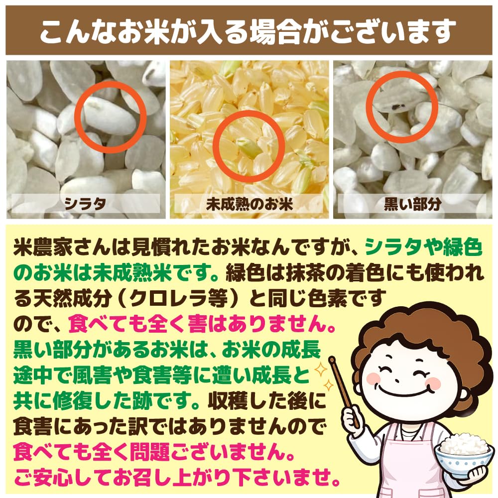 Amazon.co.jp: 米 コメ こめ 九州おかん米 国産ブレンド米 令和7年産