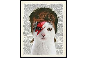 Poster of David Bowie Cat Wall Art - 8x10 Funny Upcycled Dictionary Cat Wall Decor