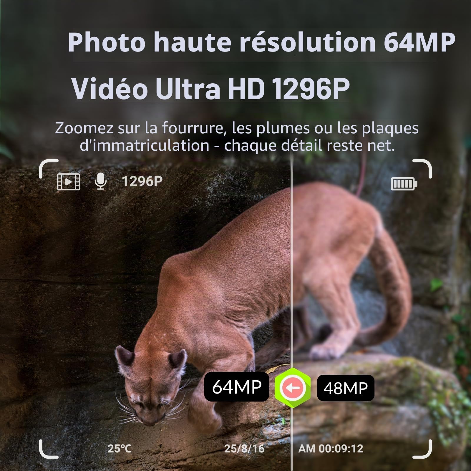 BLAZEVIDEO WiFi Caméra de Chasse 64MP 1296P Bluetooth Camera de Surveillance IP66 Étanche avec Vision Nocturne Infrarouge, Détecteur de Mouvement, Grand Angle 120° et Contrôle APP, pour l'extérieur