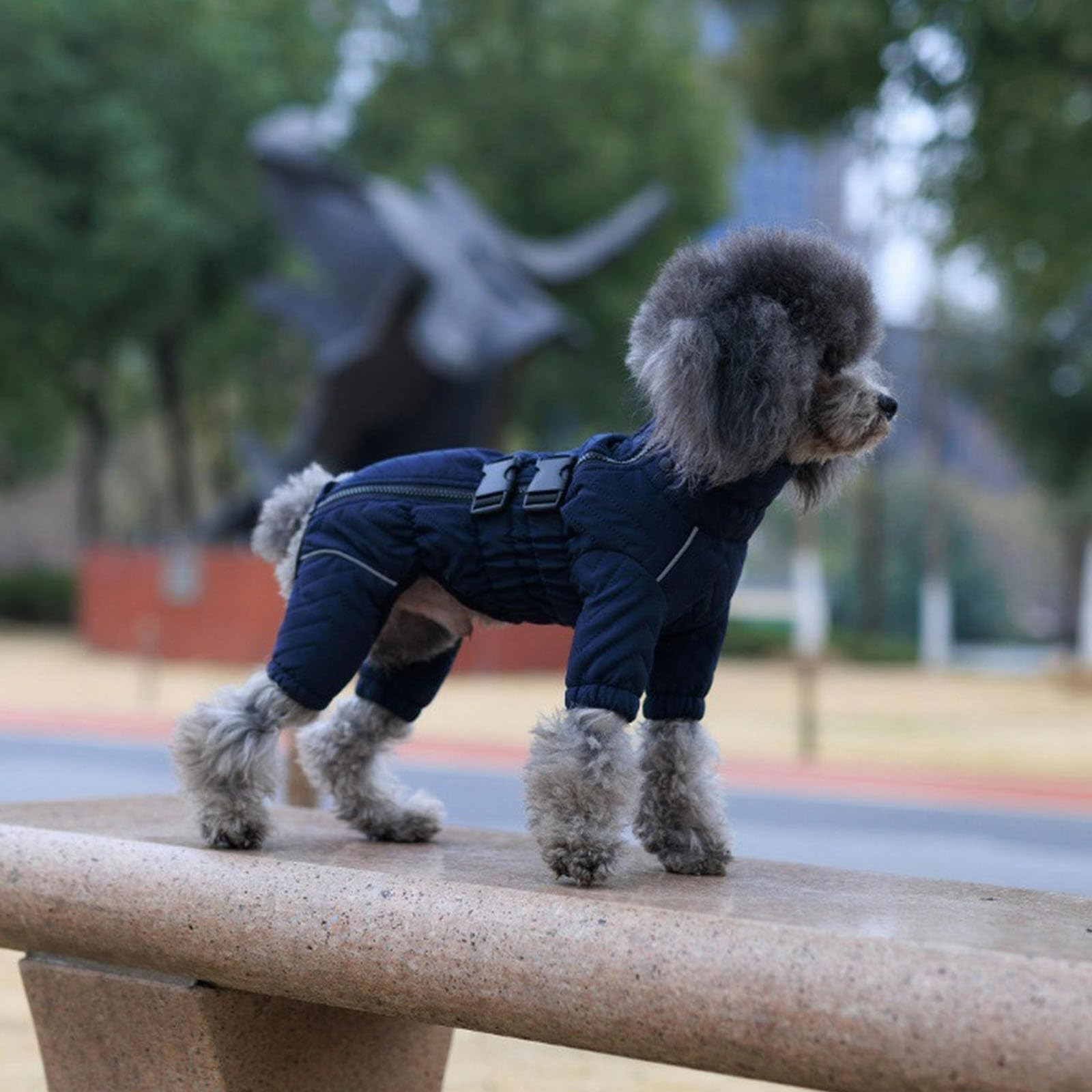 Abrigo de Nieve para Perros, Ropa de Invierno para Cachorros, Chaqueta Polar Impermeable para Perros, Traje de Nieve cálido para Perros pequeños, medianos y Grandes