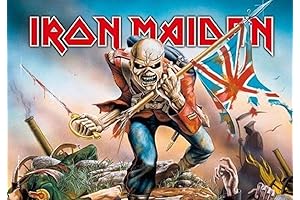 Large Iron Maiden Trooper Fabric Poster or Flag