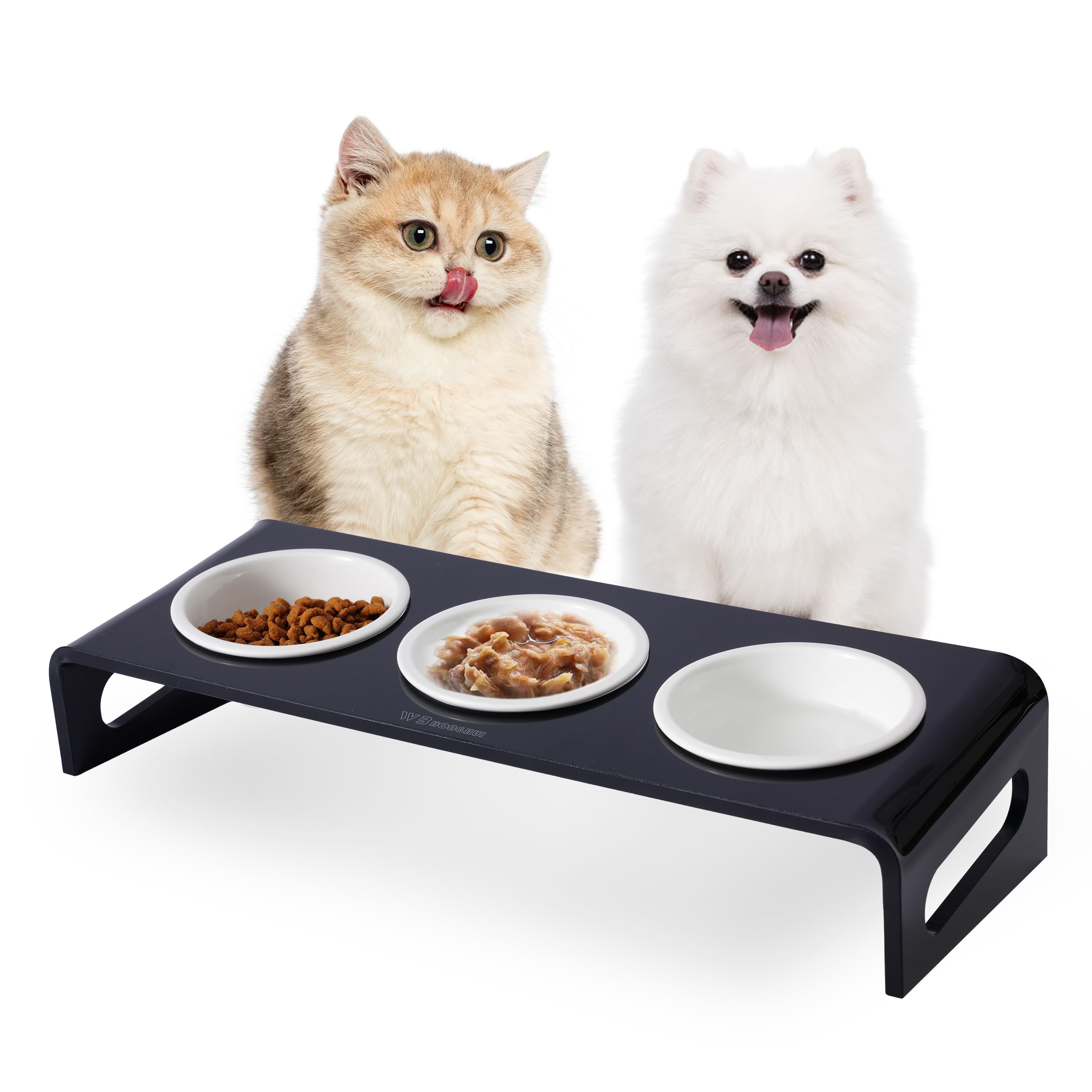 WBHonghui Tilted Acrylic Bowl Stand