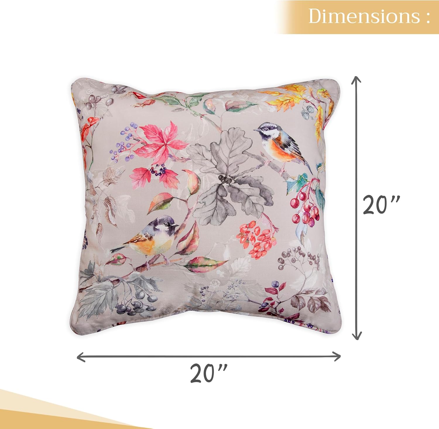 Maison d' Hermine Decorative Pillow Covers 20 x 20 inch Square 100% Cotton Throw Pillow Covers with Invisible Zipper for Living Room Couch Chair Sofas Gifts for Mothers Day - Equinoxe - Multi