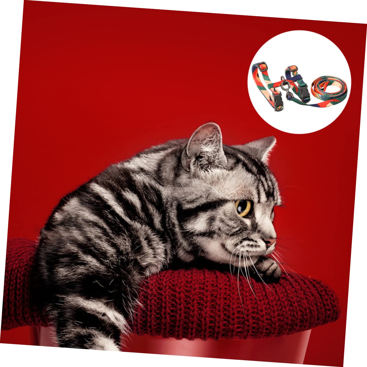 Didiseaon 2pezzi Pettorina Per Gatti Con Guinzaglio Materiale Resistente Per Passeggiate Sicure Design Elegante e Leggero Perfetta Per Gattini e Gatti Adulti