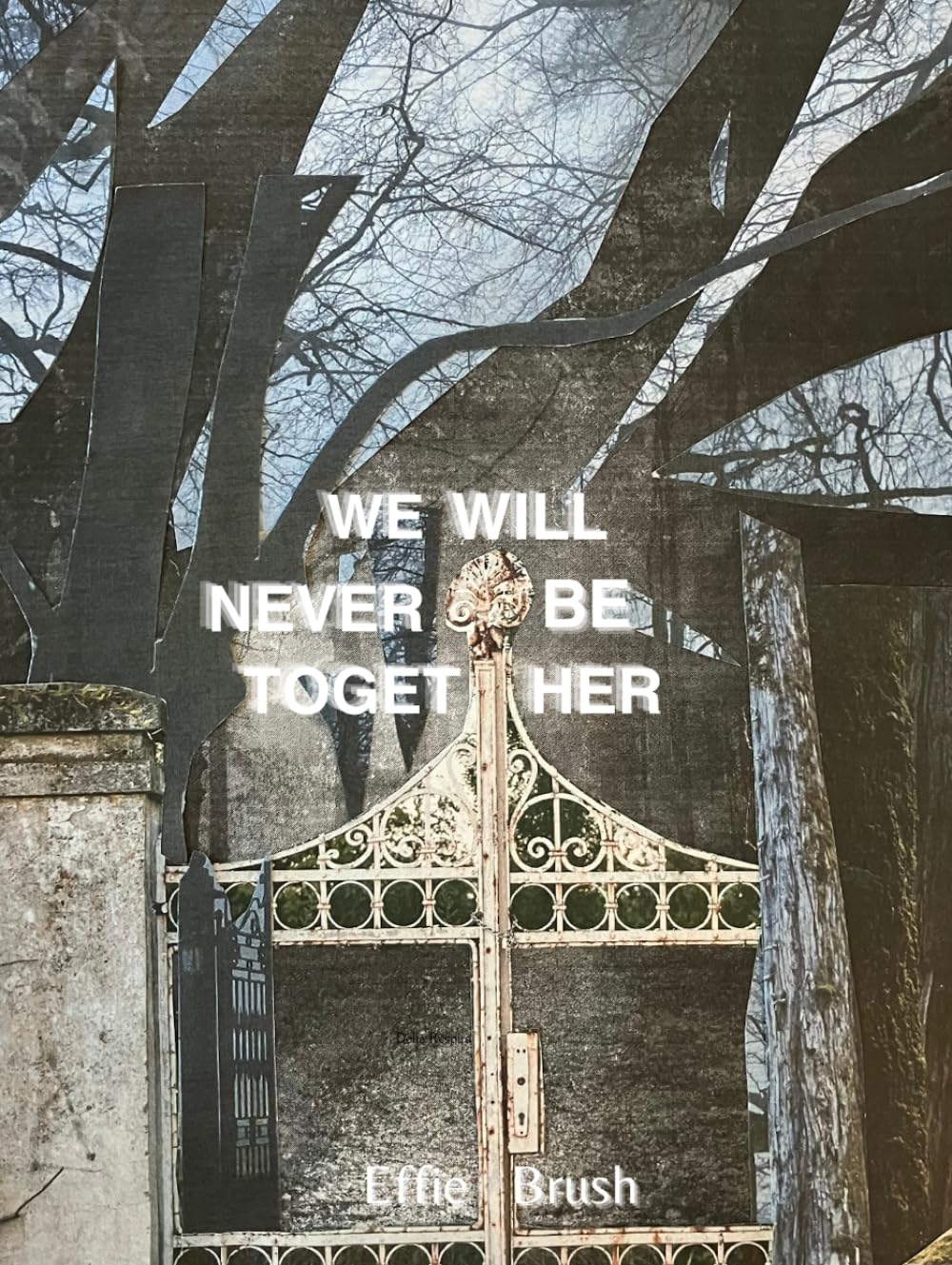 We Will Never Be Together - Livre broché de fiction contemporaine et drame romantique