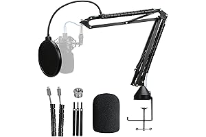at2020usb plus Mic Stand With Pop Filter