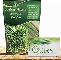 Vista 1 de Outsidepride Semillas de jardín de hierbas de cebollino perenne de 1 oz para microverdes, brotes y cocina