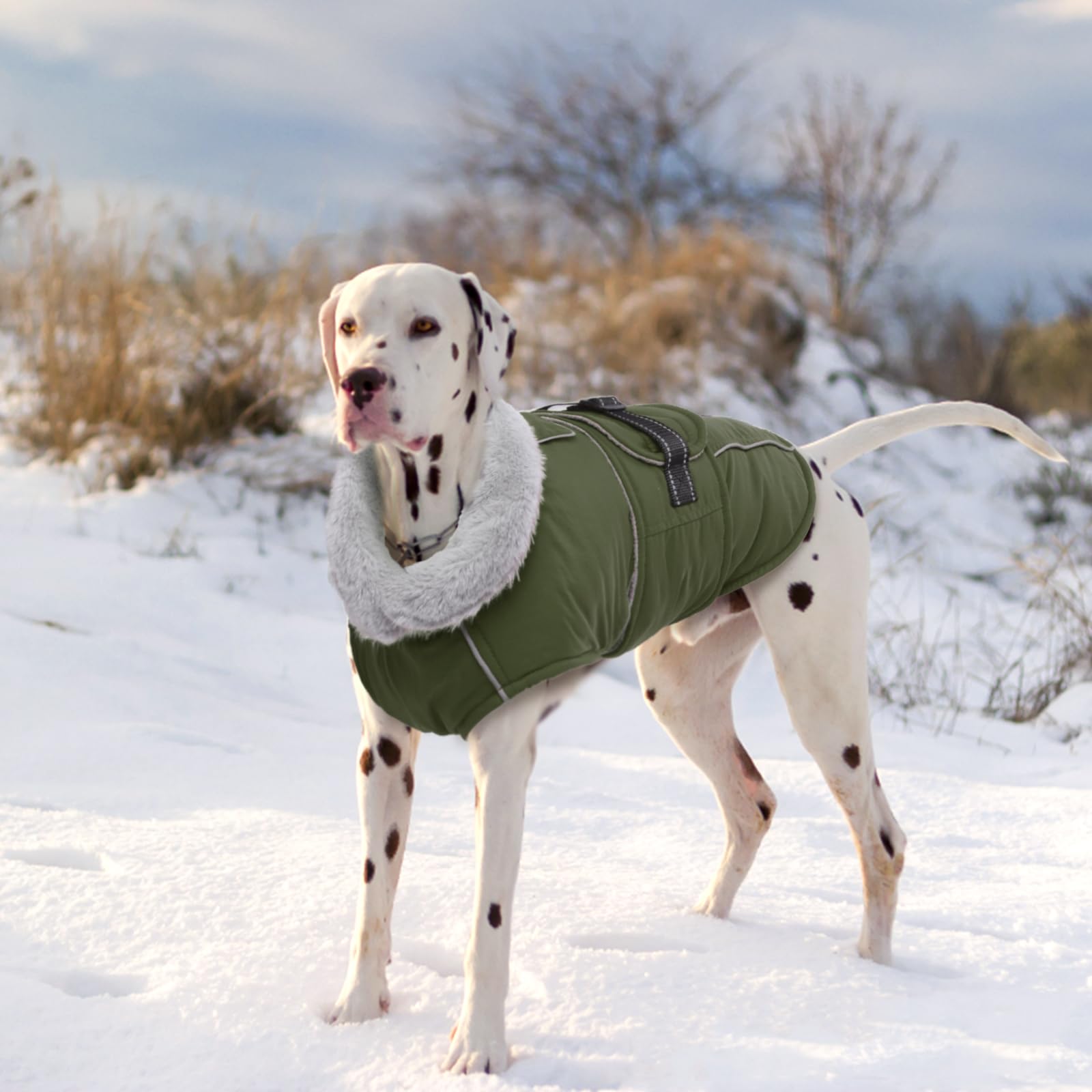 Lelepet Abrigos y chaquetas cálidos para perros, abrigo de invierno impermeable para clima frío, chaqueta acolchada reflectante para perro, abrigo para mascotas con forro polar con agujero para arnés