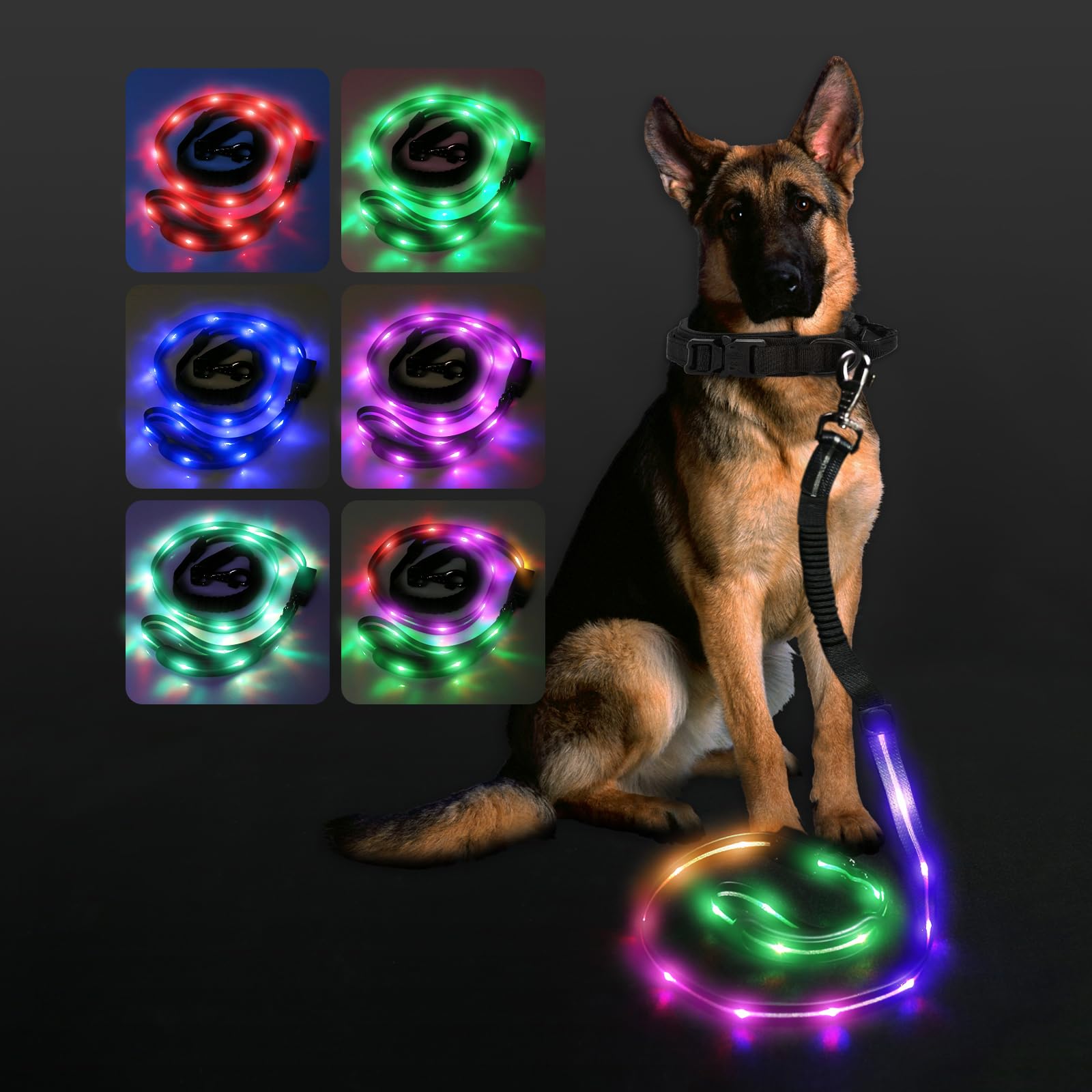 Correa LED para perro