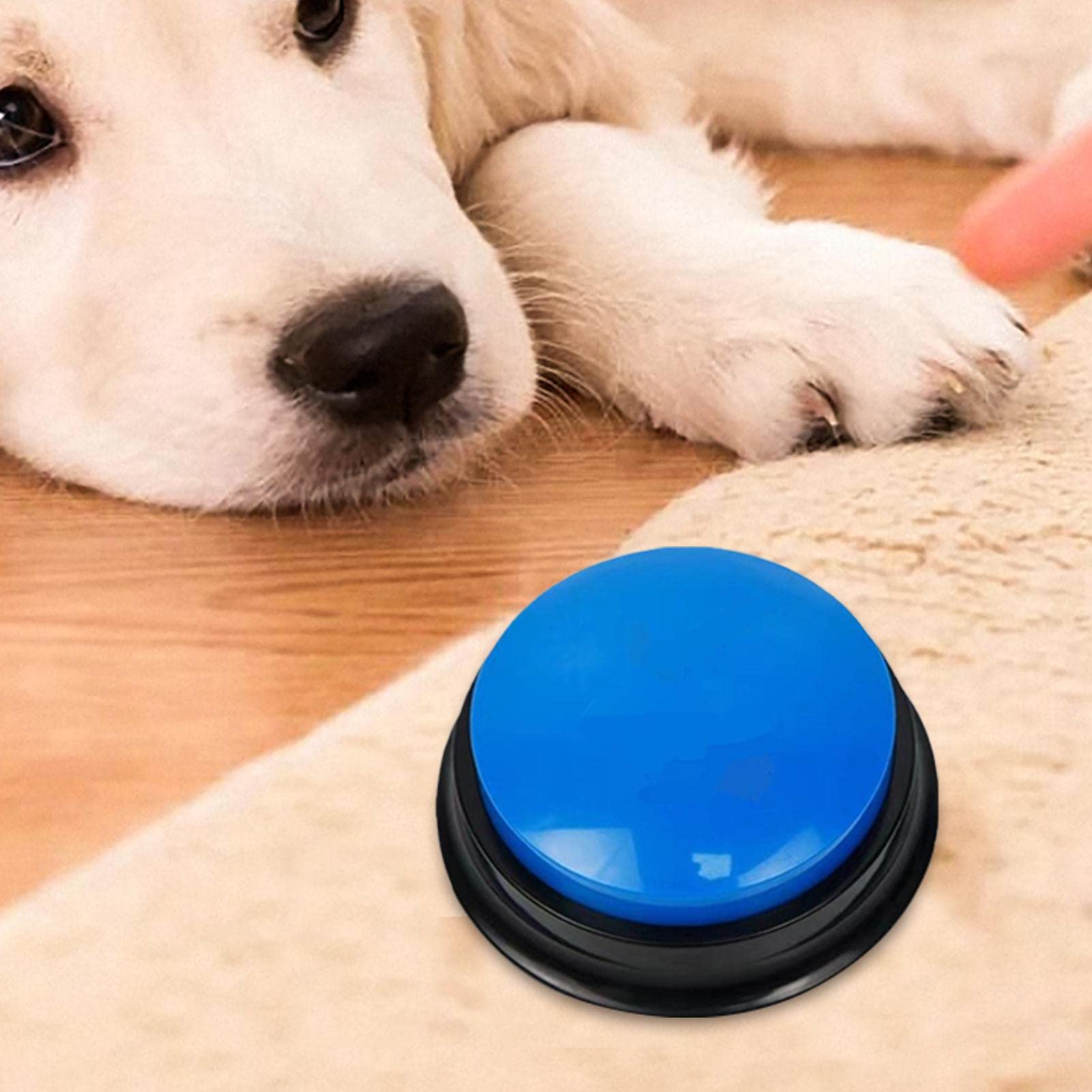 Teksome Pulsante Registrabile - Pulsanti parlanti registrabili per Cani | Cicalino di addestramento al comportamento degli Animali Domestici, Registrazione e Riproduzione di 30 Secondi, Regalo