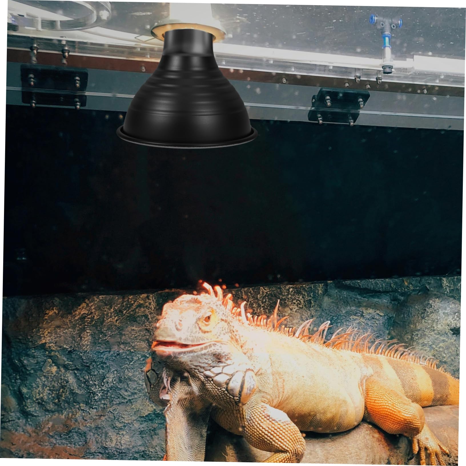Cabilock 5 Piezas luminarias para reptiles accesorio de tanque de reptil cúpula de lámpara de reptil calentador reptiles Accesorios de iluminación para reptiles pantalla de reptil planchar