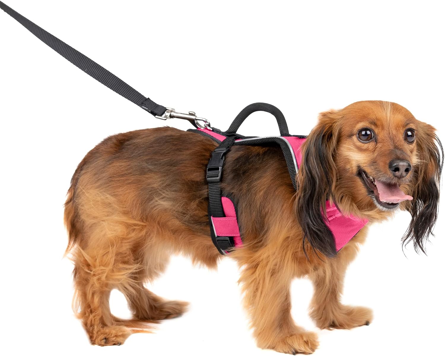 PetSafe EasySport Dog Harness, Adjustable Padded Dog Harness with Control Handle and Reflective Piping, From the Makers of the Easy Walk…
