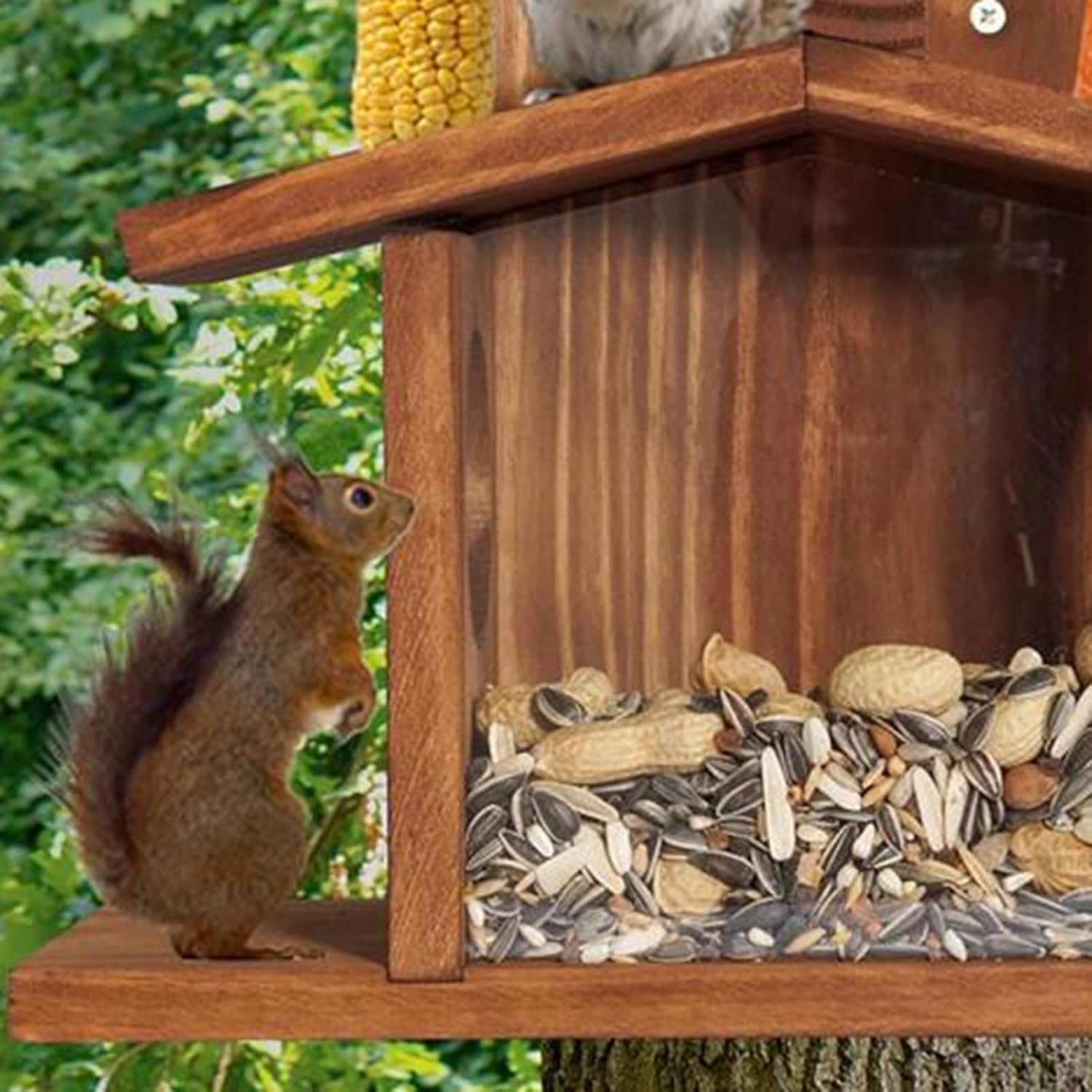 Wooden Squirrel Feeder for The Garden, Chipmunk Picnic Table Feeder with Corn Cob Holder for Outside Funny Squrrill Nuts Bar, Durable Wooden Chipmunk House Box for Corn Wooden Color