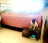 Review Image by Barbara C. Barbara C.