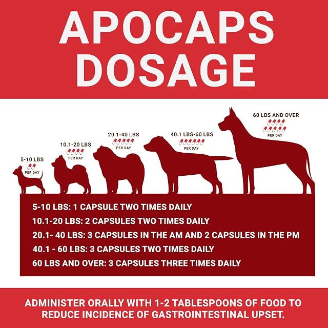 Foto 4 de 8 de Apocaps - EverPup Cx Apoptogen Formula para Perros (90 cápsulas)