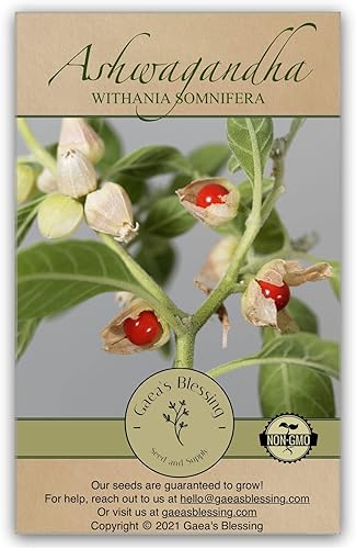 Gaea's Blessing Semillas - Semillas de Ashwagandha - Semillas tradicionales sin OMG con instrucciones de siembra fáciles de seguir